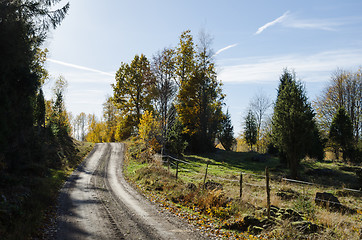 Image showing Countryside gravel road