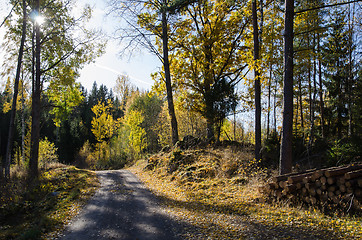 Image showing Shiny colorful gravel road