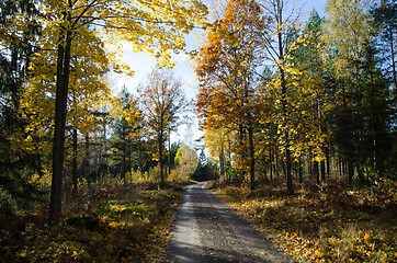 Image showing Colorful gravel road 