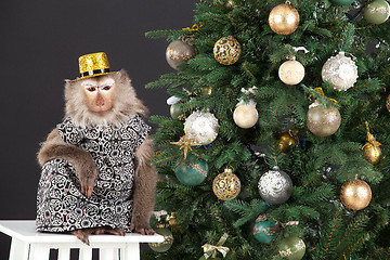 Image showing Little Monkey And The New Year's Tree