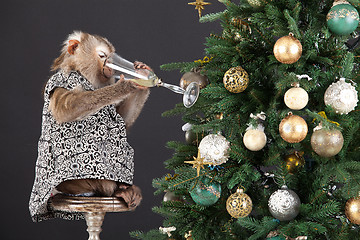 Image showing Little Monkey And The New Year's Tree