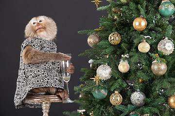 Image showing Little Monkey And The New Year's Tree