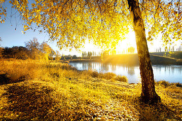 Image showing Bright autumn at sunrise