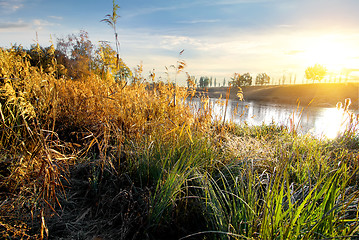 Image showing Dry grass on river