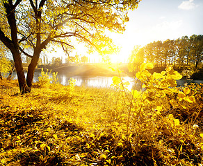 Image showing Yellow leaves and river