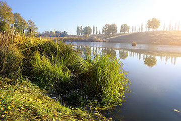 Image showing Reeds on autumn river