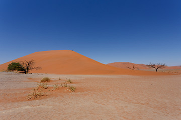 Image showing Dune 45 in sossusvlei Namibia with dead tree