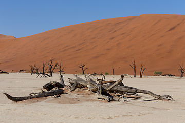 Image showing beautiful sunrise landscape of hidden Dead Vlei