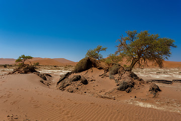 Image showing beautiful sunrise landscape of hidden Dead Vlei