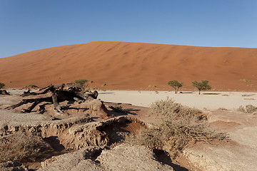 Image showing beautiful landscape of Hidden Vlei in Namib desert panorama