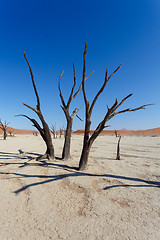 Image showing beautiful sunrise landscape of hidden Dead Vlei