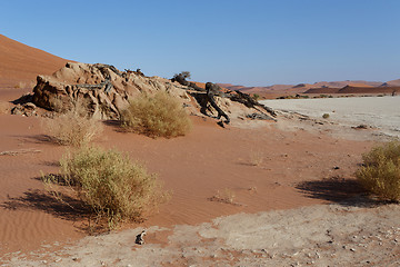 Image showing beautiful sunrise landscape of hidden Dead Vlei