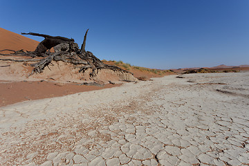 Image showing beautiful sunrise landscape of hidden Dead Vlei