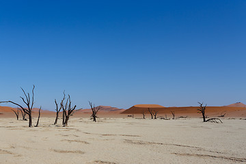 Image showing beautiful sunrise landscape of hidden Dead Vlei