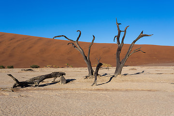 Image showing beautiful landscape of Hidden Vlei in Namib desert panorama