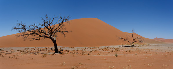 Image showing Dune 45 in sossusvlei Namibia with dead tree