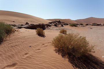 Image showing beautiful sunrise landscape of hidden Dead Vlei