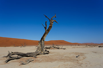 Image showing beautiful sunrise landscape of hidden Dead Vlei