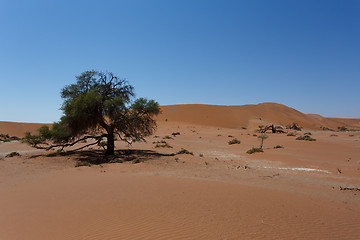 Image showing beautiful sunrise landscape of hidden Dead Vlei