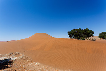 Image showing beautiful sunrise landscape of hidden Dead Vlei