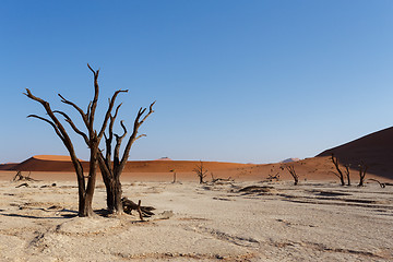 Image showing beautiful landscape of Hidden Vlei in Namib desert panorama