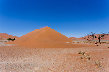 Image showing Dune 45 in sossusvlei Namibia with dead tree