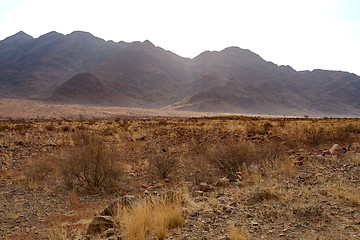 Image showing fantrastic Namibia desert landscape