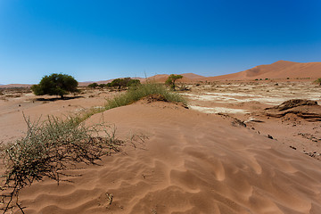 Image showing beautiful sunrise landscape of hidden Dead Vlei