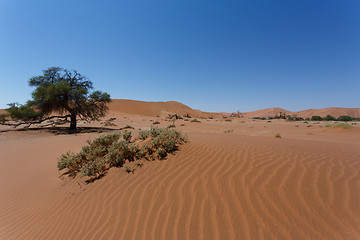 Image showing beautiful sunrise landscape of hidden Dead Vlei