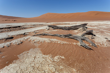 Image showing beautiful sunrise landscape of hidden Dead Vlei