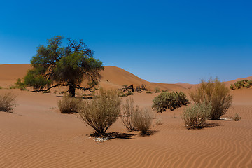 Image showing beautiful sunrise landscape of hidden Dead Vlei