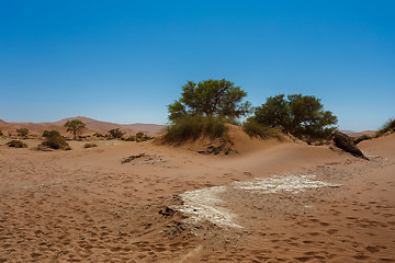 Image showing beautiful sunrise landscape of hidden Dead Vlei