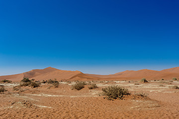 Image showing beautiful sunrise landscape of hidden Dead Vlei