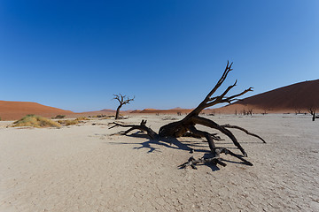 Image showing beautiful sunrise landscape of hidden Dead Vlei