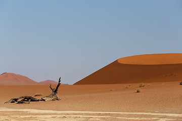 Image showing beautiful sunrise landscape of hidden Dead Vlei