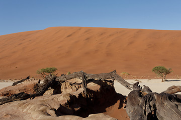 Image showing beautiful landscape of Hidden Vlei in Namib desert panorama