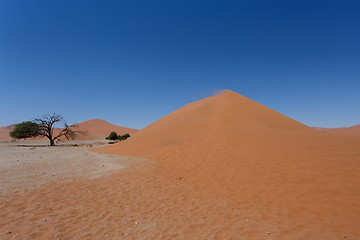 Image showing Dune 45 in sossusvlei Namibia with dead tree