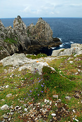 Image showing Atlantic coast in Brittany