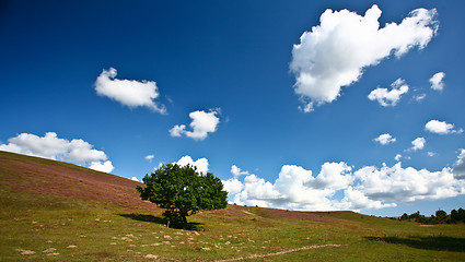 Image showing Nature in south Sweden