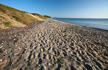 Image showing  Nature in south Sweden