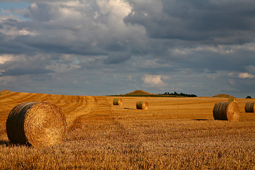 Image showing Harvest