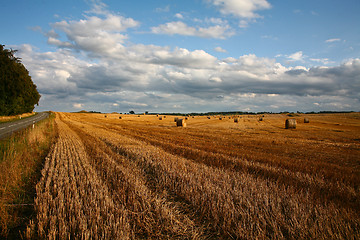 Image showing Harvest