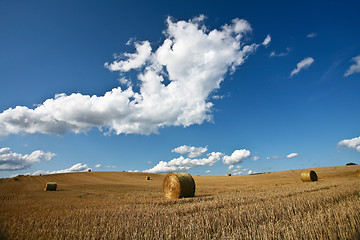 Image showing Harvest