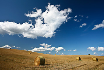 Image showing Harvest