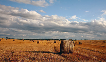 Image showing Harvest