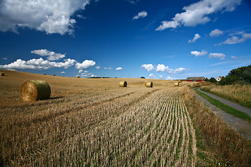 Image showing Harvest