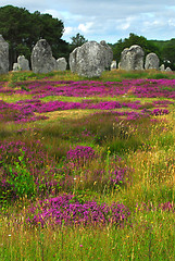 Image showing Megalithic monuments in Brittany