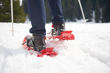 Image showing couple having fun and walking in snow shoes