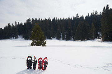 Image showing winter snowshoes