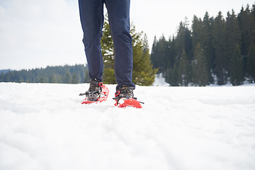 Image showing couple having fun and walking in snow shoes